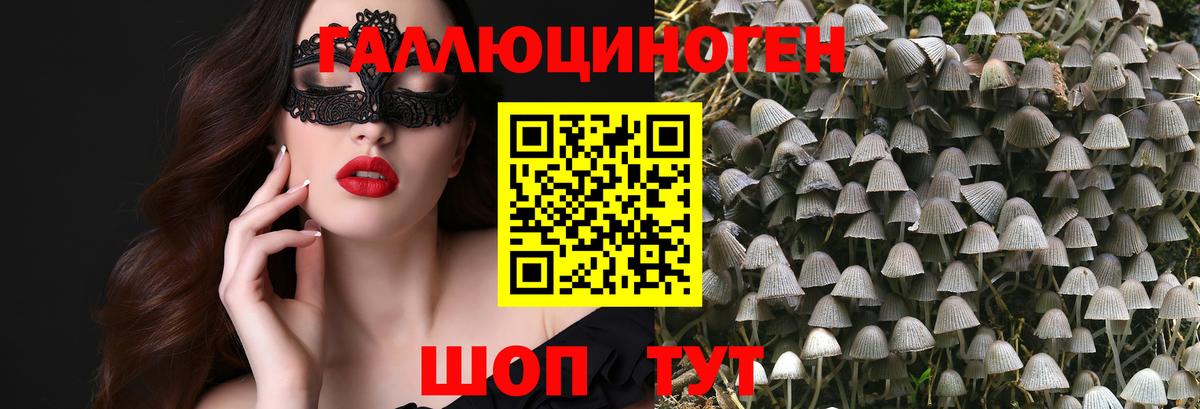 Борзя  Псилоцибиновые грибы Psilocybine cubensis  закладки  Галлюциногенные грибы прущие грибы  Вход с VPN 