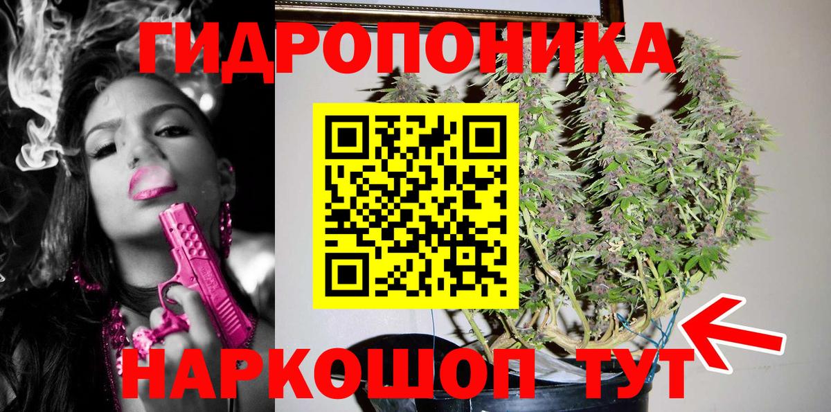 Борзя  Бошки Шишки THC 21%  Вход с VPN  Бошки Шишки планчик  Канабис индика 